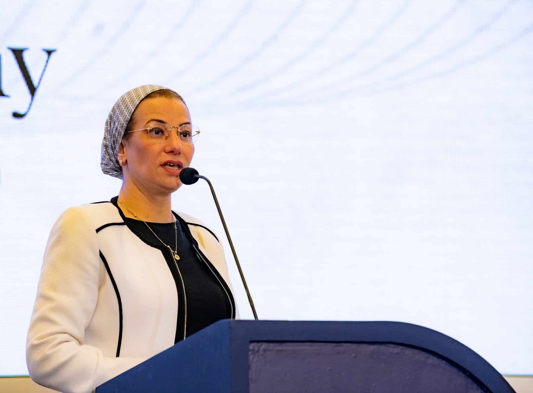 "تكليف وزيرة التنمية المحلية بتسيير الأعمال مؤقتًا"