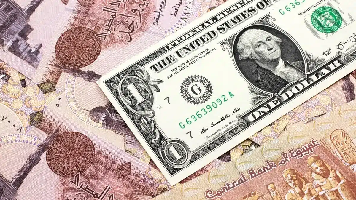 "تراجع سعر الدولار أمام الجنيه في البنوك المصرية"