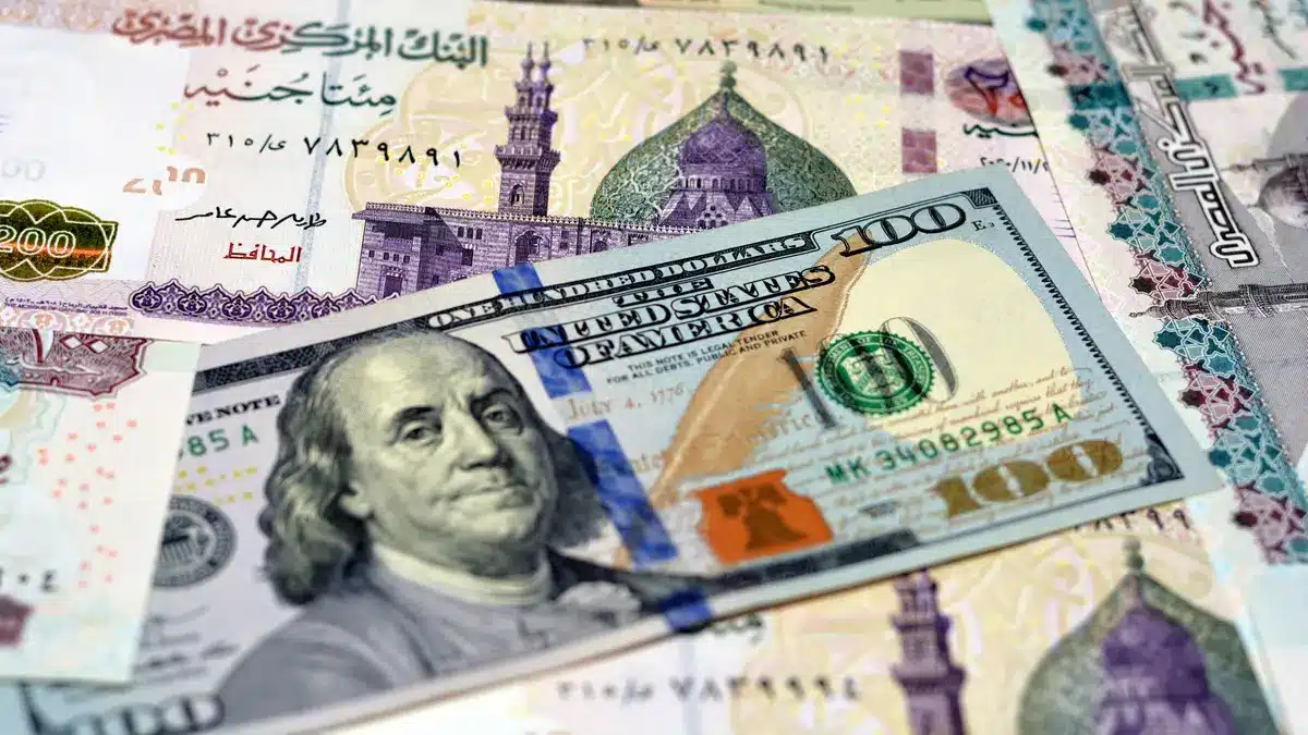 "سوق الصرف يشهد تحركات جديدة في مصر"