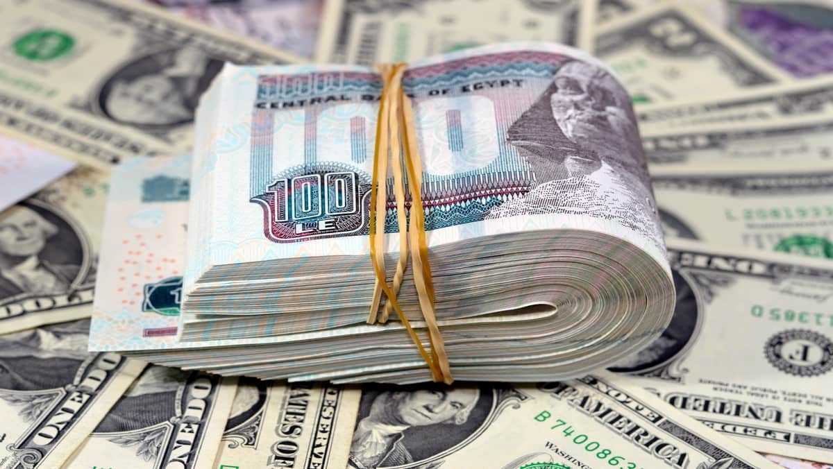 "تراجع جديد لسعر الدولار أمام الجنيه في 10 بنوك مصرية"