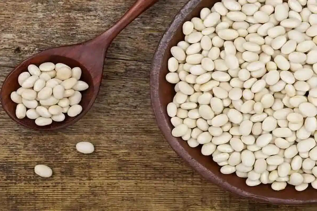 أحلى طريقة عمل فاصوليا بيضاء بالصلصة مع التوابل اللي بتديها طعم مختلف