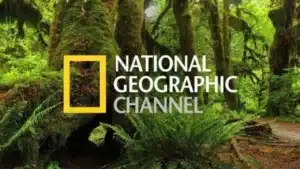 "كيفية تثبيت تردد قناة National Geographic لعام 2025 بسهولة"